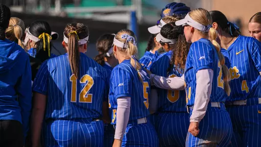 Action Shot of Softball Team Huddle