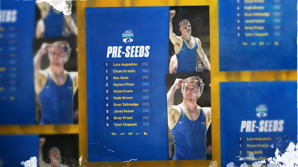 ACC Pre-Seed Graphic