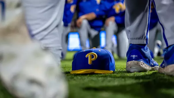 Pitt Baseball Hat