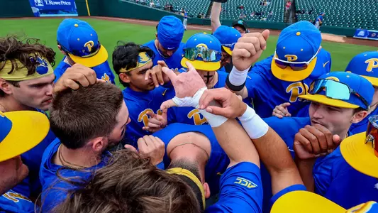 Pitt Baseball