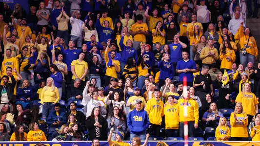 Volleyball Crowd Shot, 2025