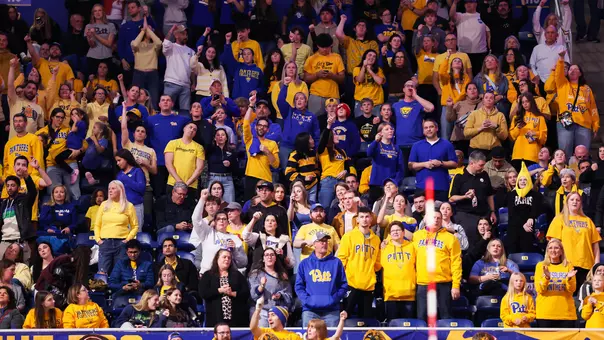 Volleyball Crowd Shot, 2025