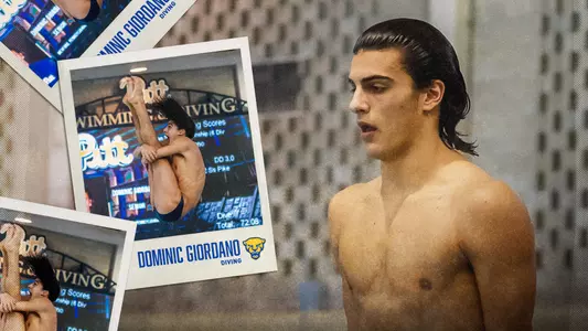 dominic giordano