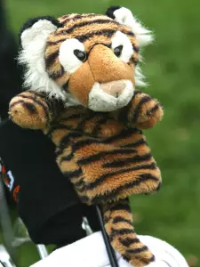 Philadelphia Big Five Tournament Ahead for Men's Golf