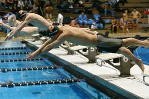 Divers In Action