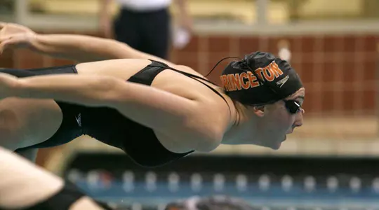 Diver In Action