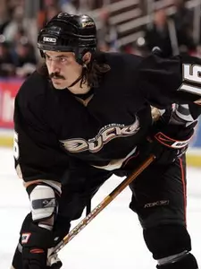 10 Former Tigers Open 2008-09 Season in Pro Hockey