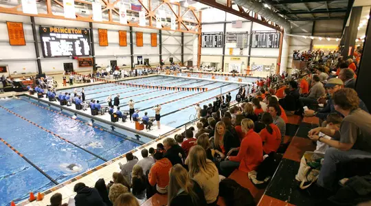 Tiger Quartet Swims At US Open Championships; Three Place In Top 40