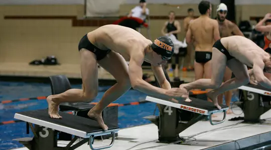 Men's Swimming/Diving Continues Successful Big Al Open; Vines Qualifies For NCAAs