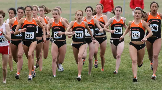 Cross Country Represents at IC4A/ECAC Cross Country Championships