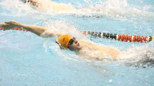 #24 Men's Swim/Dive Completes Perfect Ivy Season With Win Over Columbia