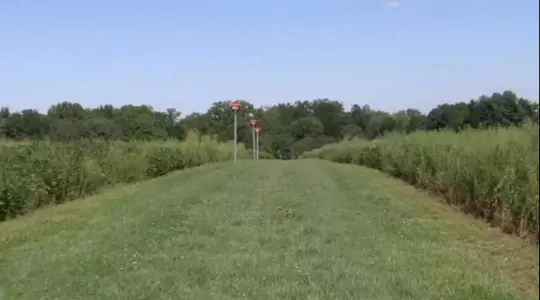 Grass Path