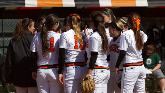 Meet the 2013 Softball Team