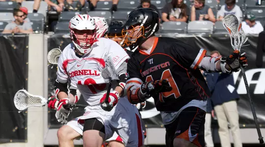 Cornell Tops Princeton 17-11, With Round 2 Set For Friday Night in Ivy Semi