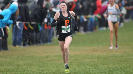 Curham to NCAAs; Cross Country Teams Compete at ECAC/IC4As