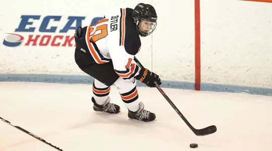 Women's Hockey Faces Cornell in ECAC Quarterfinal Series