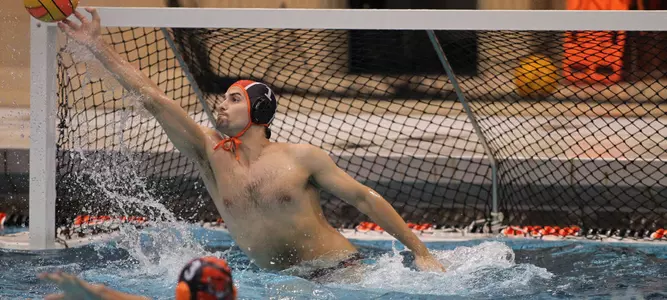 Mitrovic, Butler, Nelson Earn CWPA Southern Division Honors