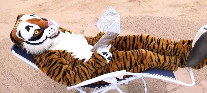 Who's The Tiger No. 5 - On The Beach