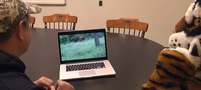 Who's The Tiger No. 4 - The Film Session