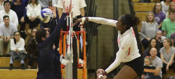Volleyball Solves Yale, Keeps Pressure On Harvard With 3-1 Victory