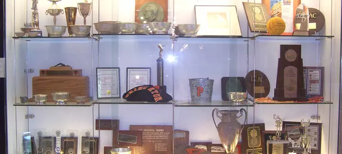 Women's Swimming History & Honors