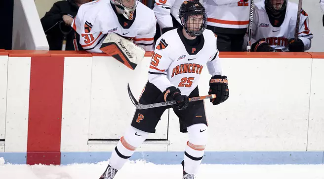 Men's Hockey Hosts AIC Tuesday Night