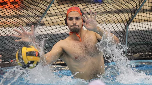 Vojislav Mitrovic