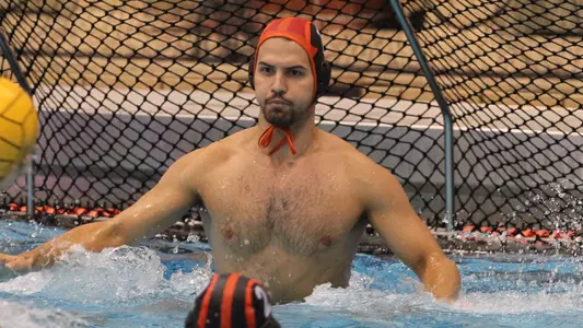Vojislav Mitrovic
