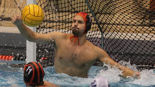 Vojislav Mitrovic