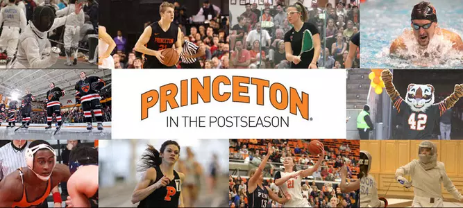 Winter 2016 - A Wonderland Of Princeton Postseason Stories