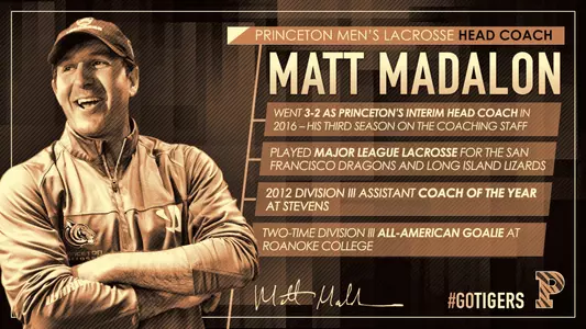 Matt Madalon Head Coach Hire - Story Page