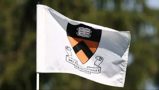 golf flag