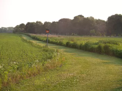 Cross Country Trails