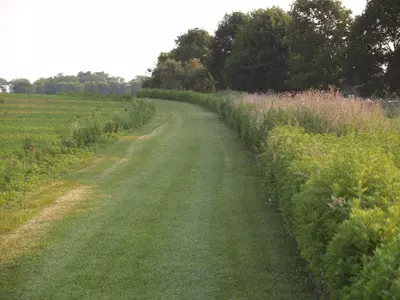 Cross Country Trails