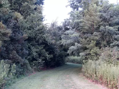 Cross Country Trails