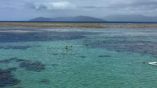 Princeton Women's Basketball