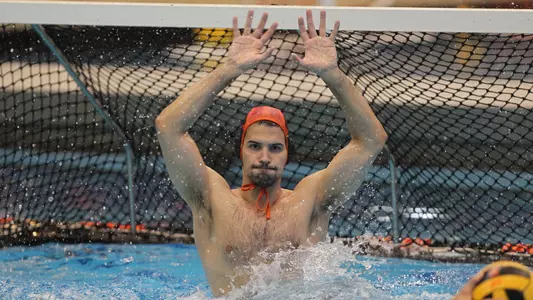 Vojislav Mitrovic