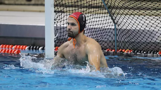 Vojislav Mitrovic