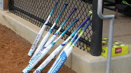 Softball Bats