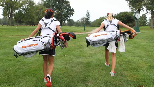 Golf carrying Bags