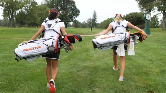 Golf carrying Bags
