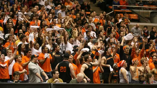 crowd