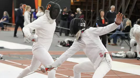 Princeton M&W Ivy fencing