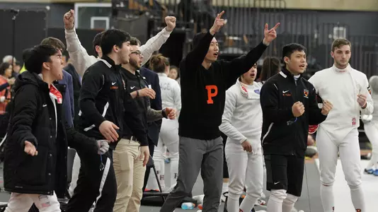 Princeton M&W Ivy fencing