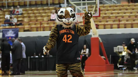The Tiger