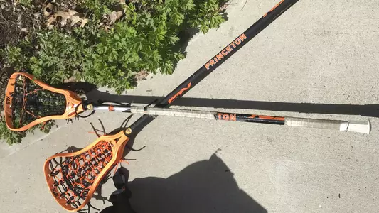 sticks