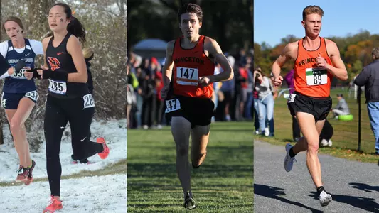 Chittenden-Lundy-Fischer