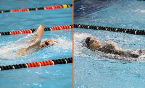 Big Al Preview Header