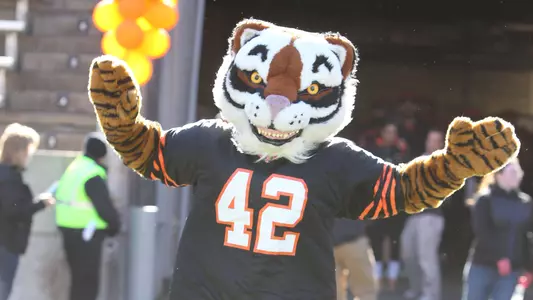 Princeton Tiger Mascot