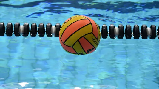 Water Polo Ball